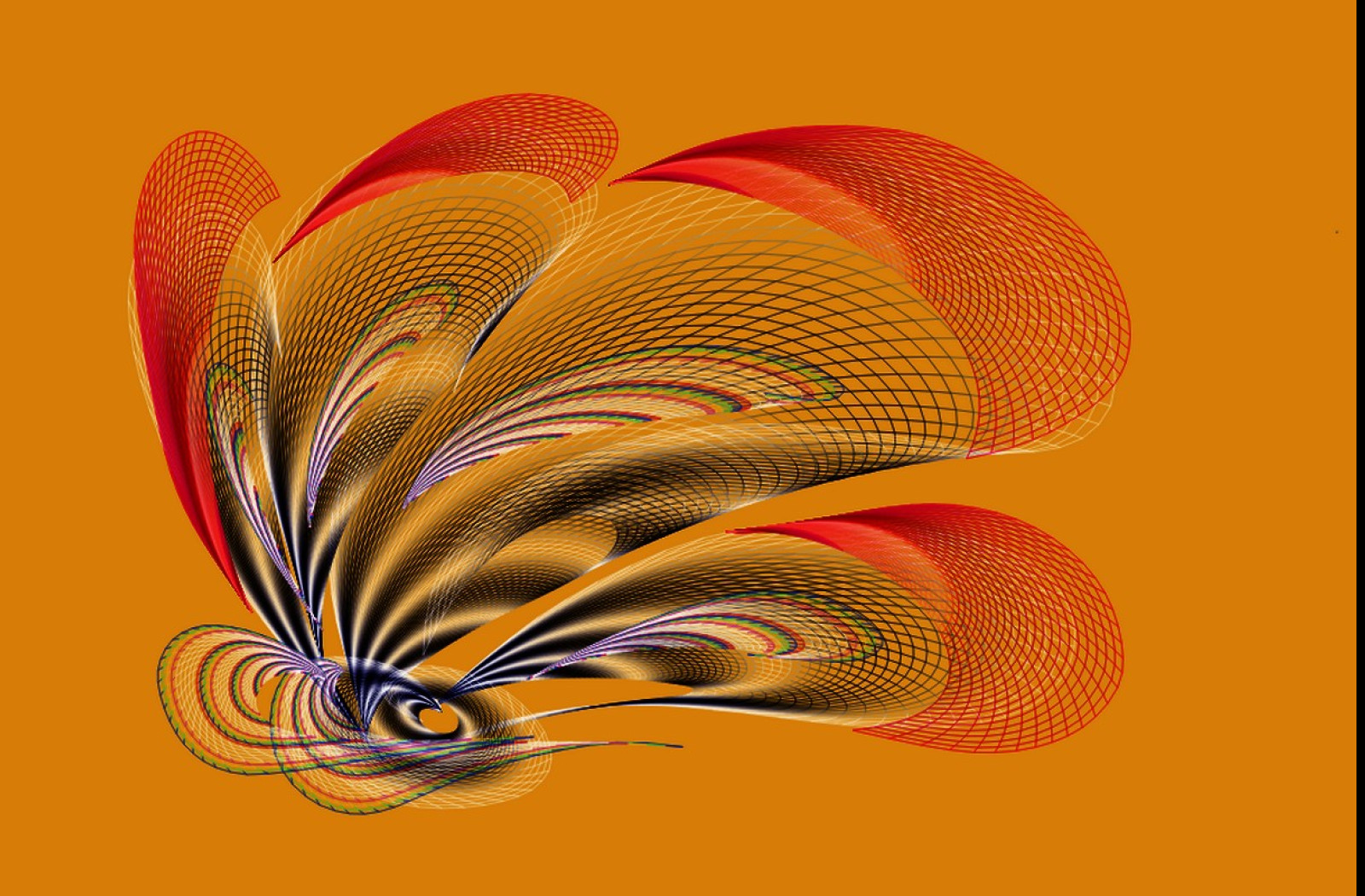Tapeta _wild_butterfly