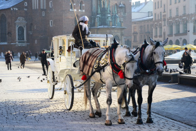 Tapeta: Adventn Krakow