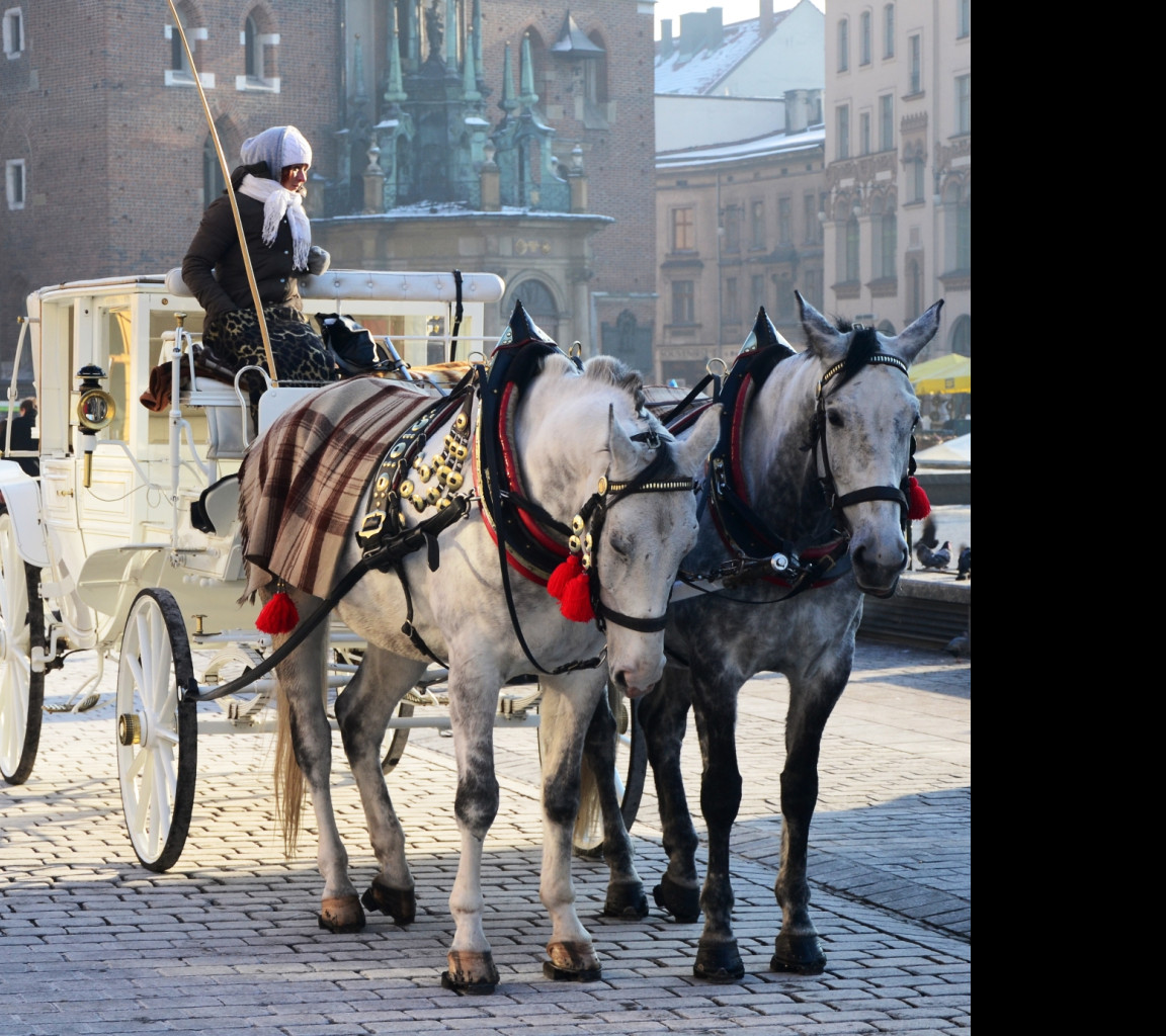 Tapeta adventni_krakow