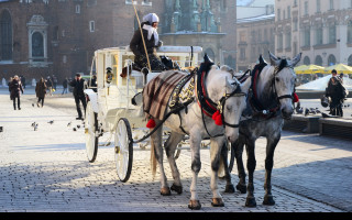 Tapeta adventni_krakow