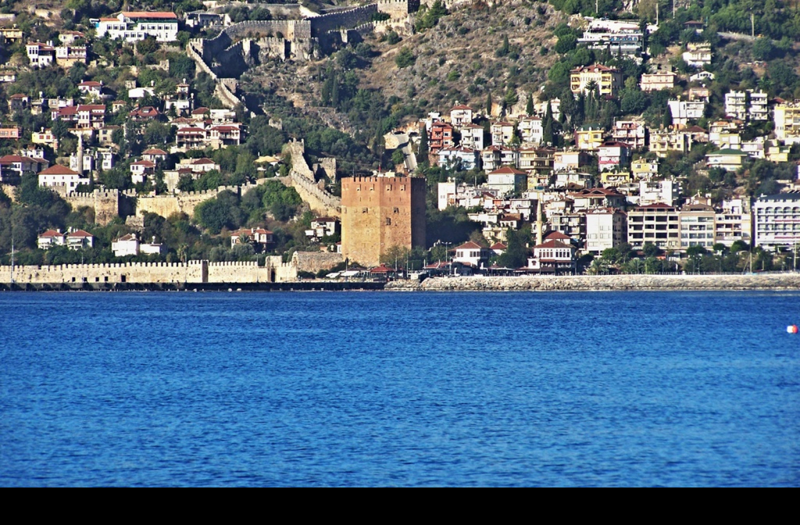 Tapeta alanya_cervena_vez