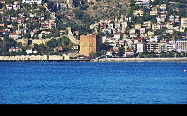 Tapeta alanya_cervena_vez