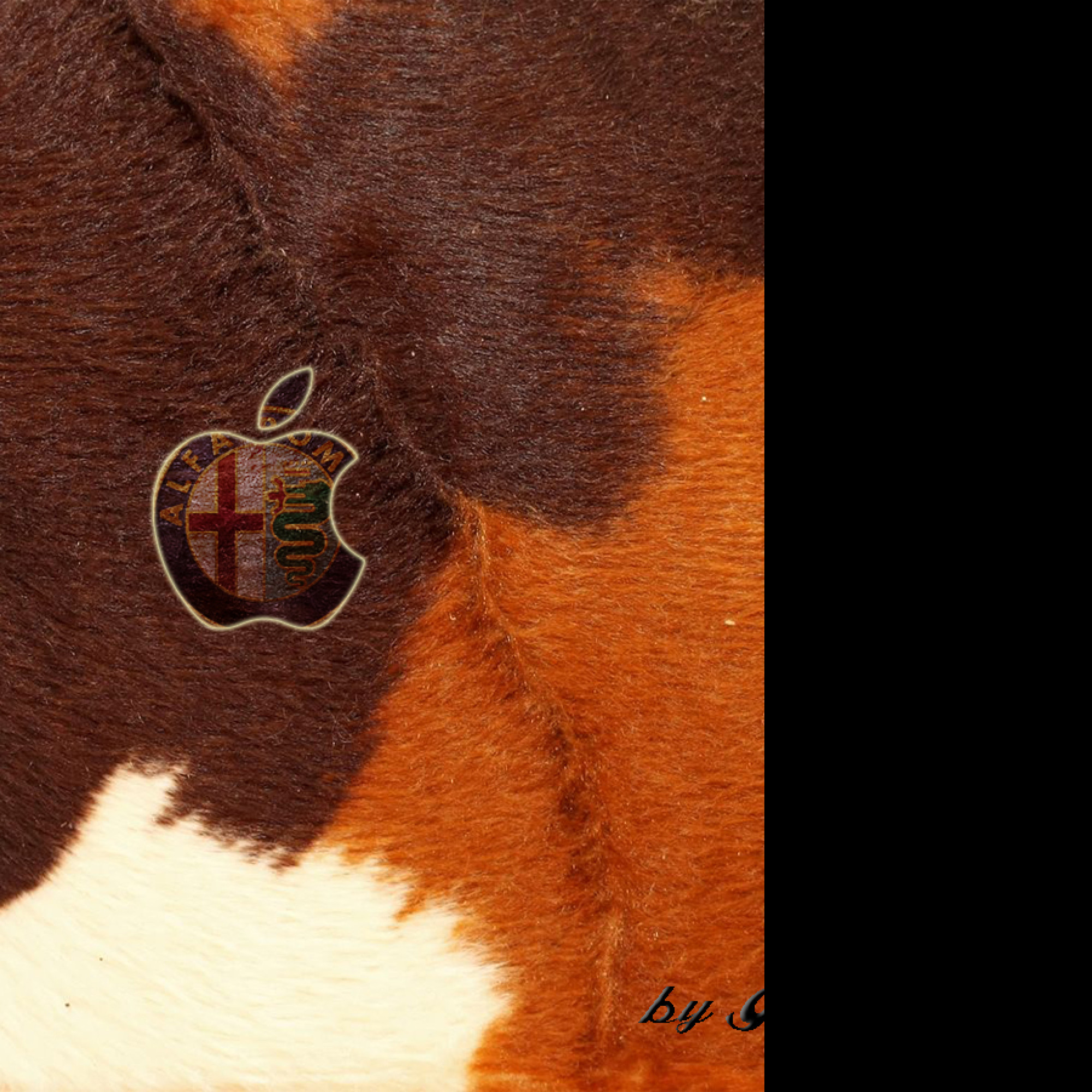 Tapeta alfa_romeo_apple_cow_skin