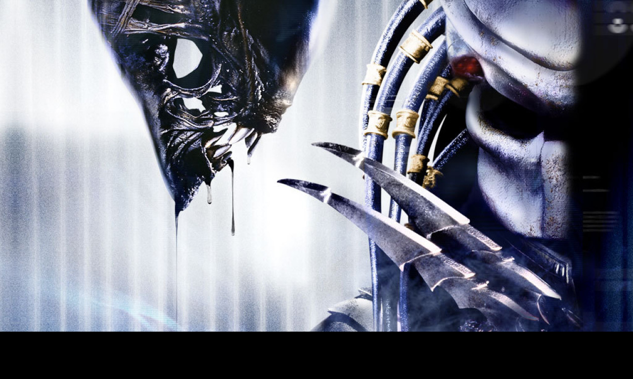 Tapeta alien_vs_predator