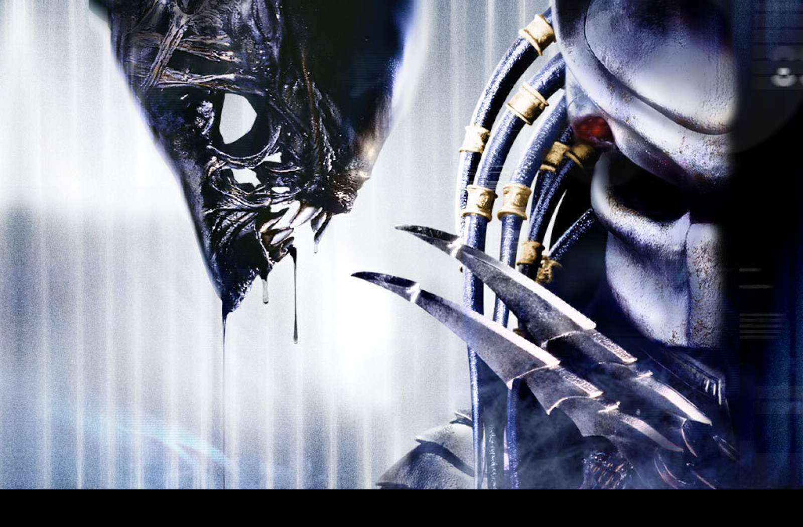 Tapeta alien_vs_predator