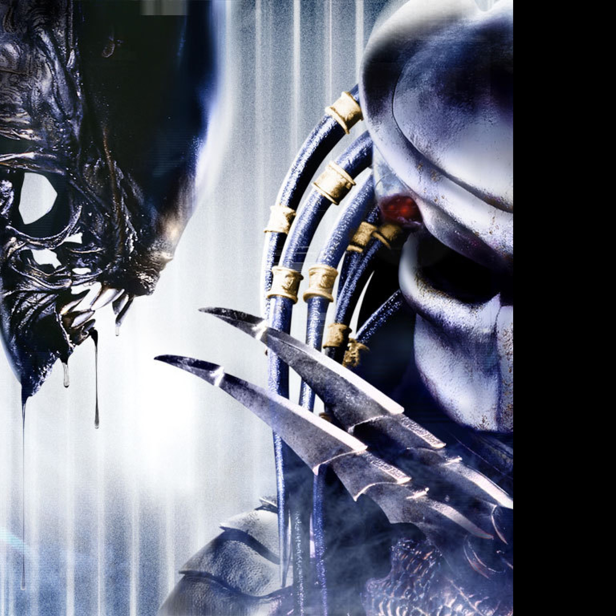 Tapeta alien_vs_predator