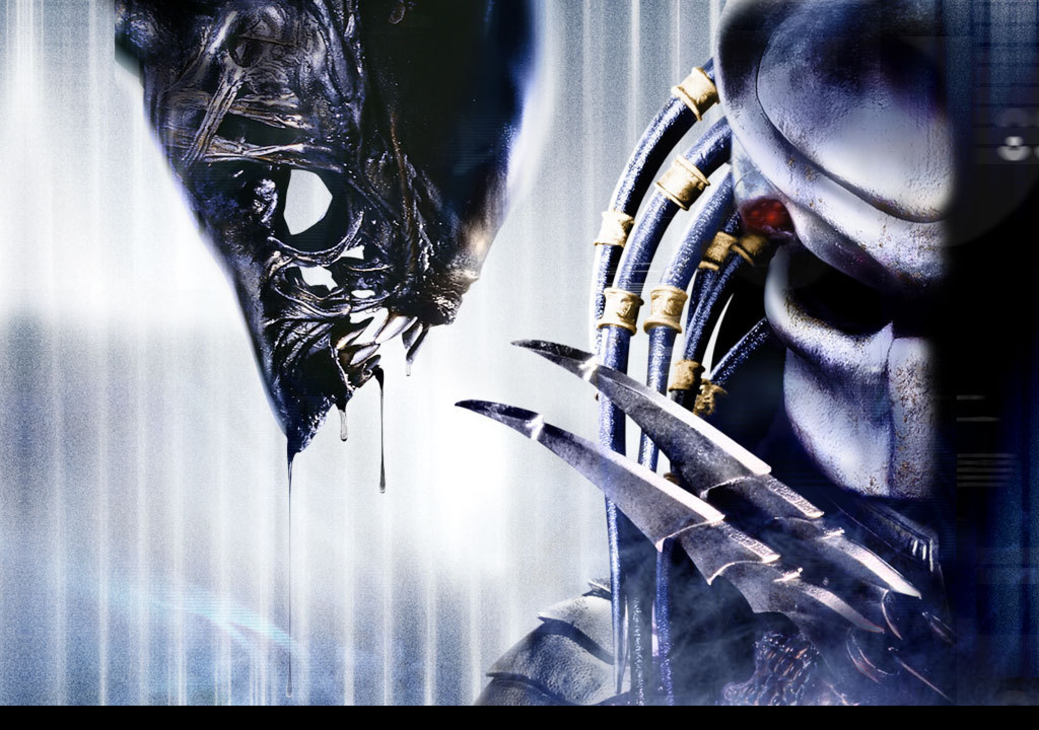 Tapeta alien_vs_predator
