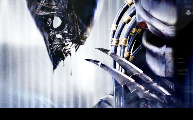 Tapeta alien_vs_predator