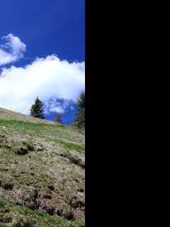 Tapeta alpska_pastvina