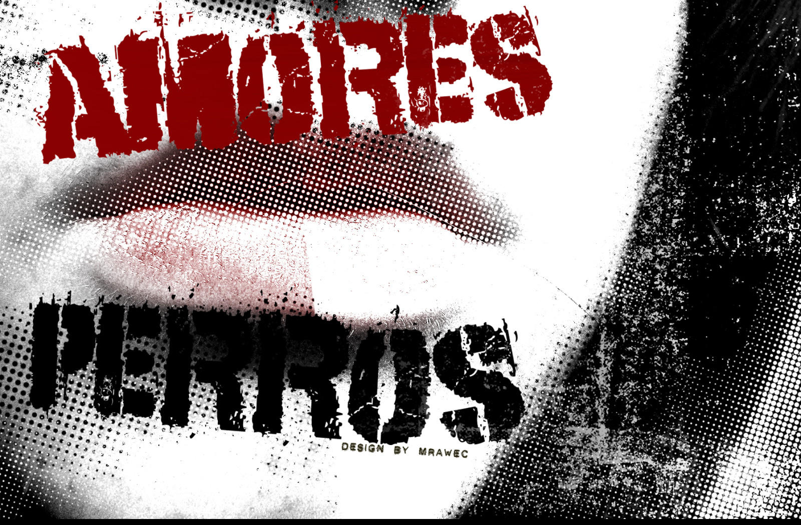 Tapeta amores_perros