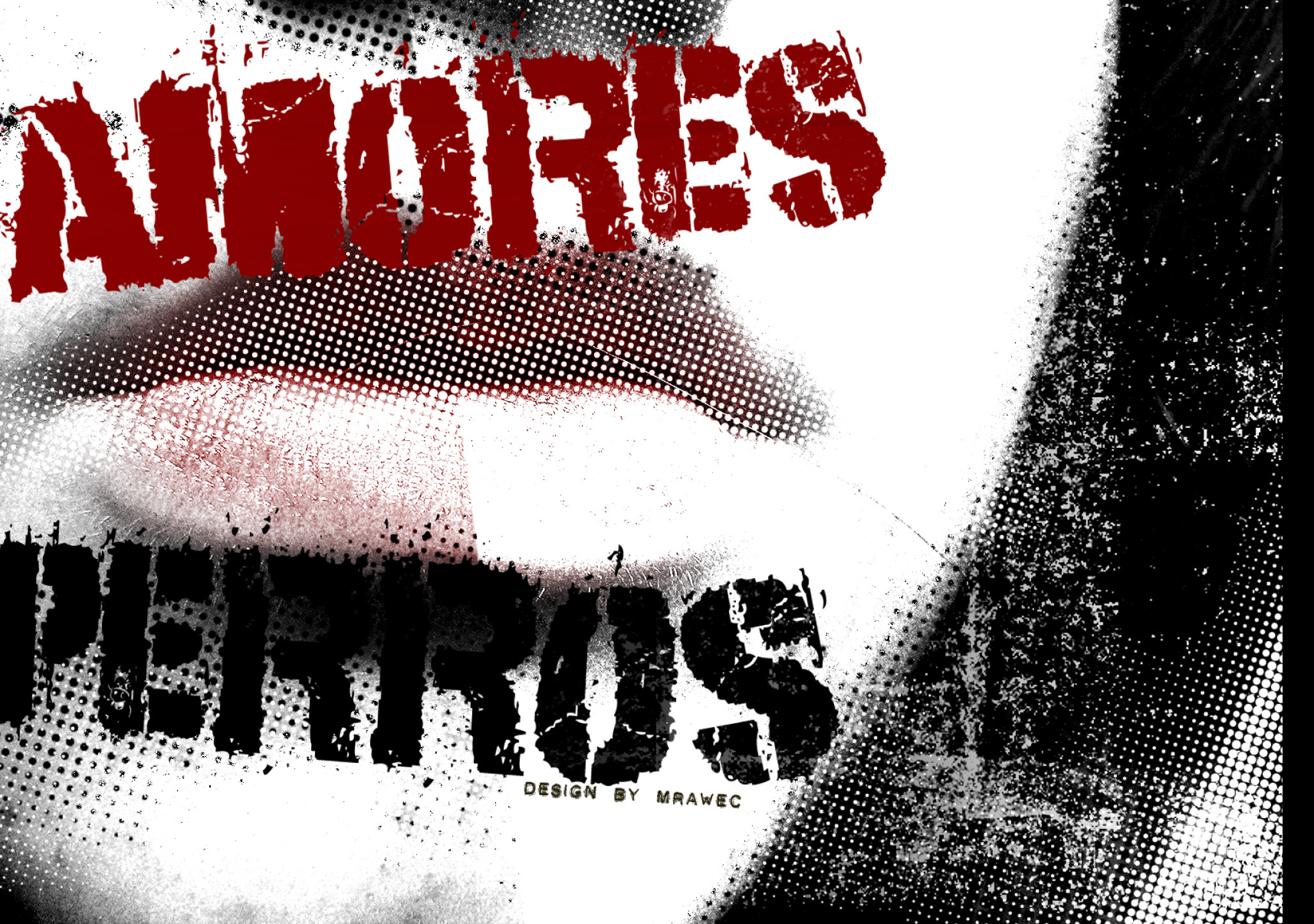 Tapeta amores_perros