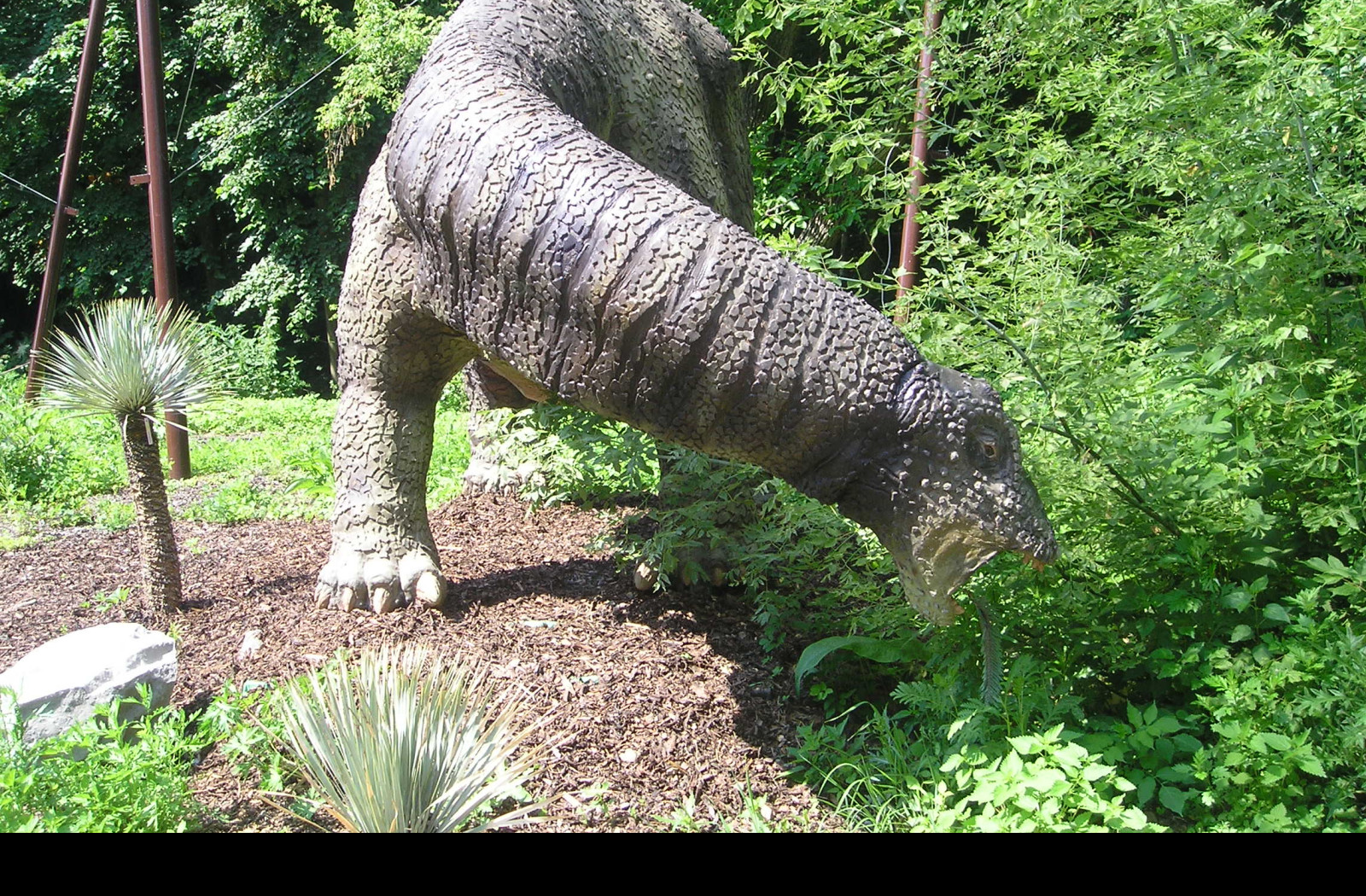Tapeta apatosaurus