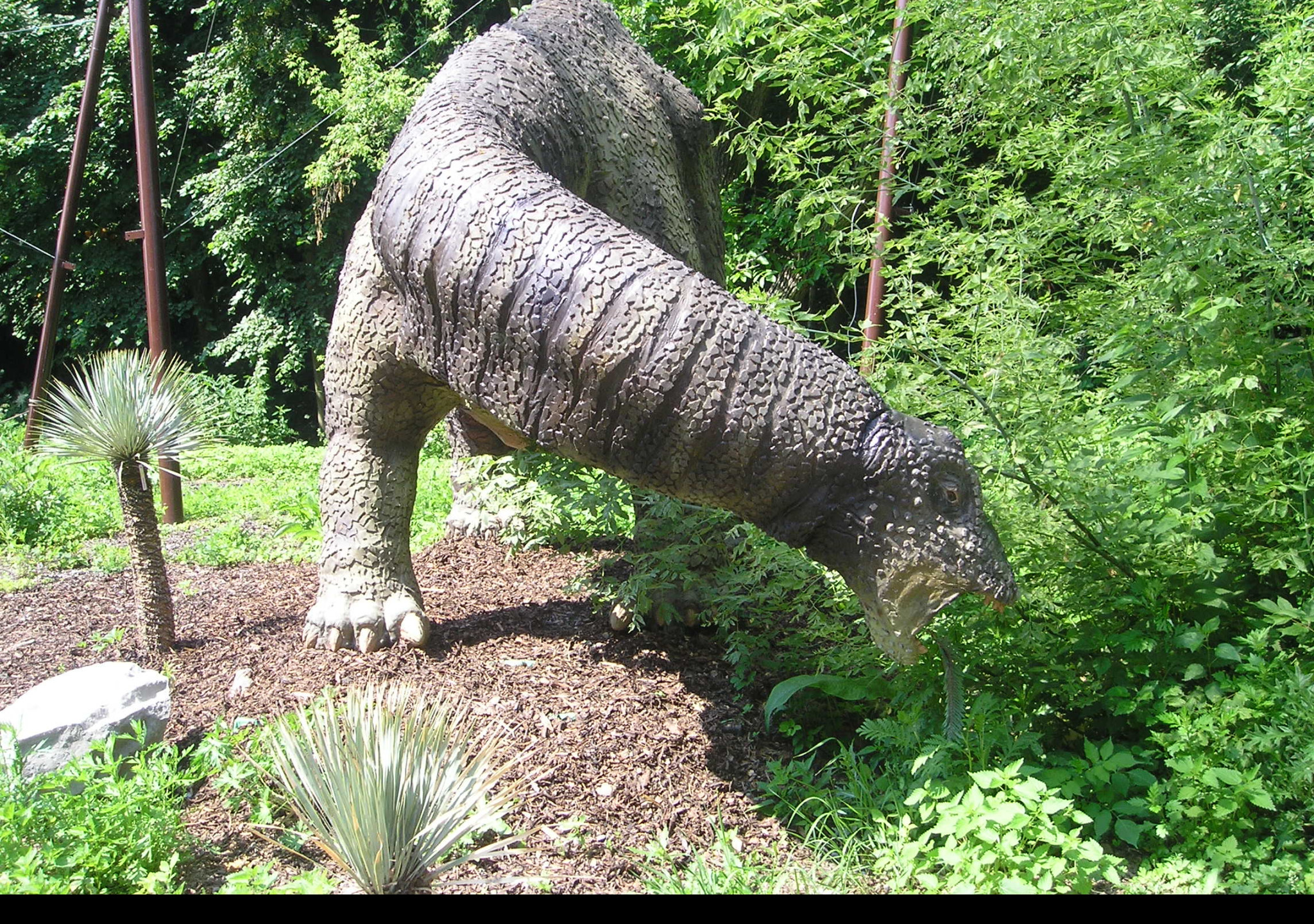 Tapeta apatosaurus