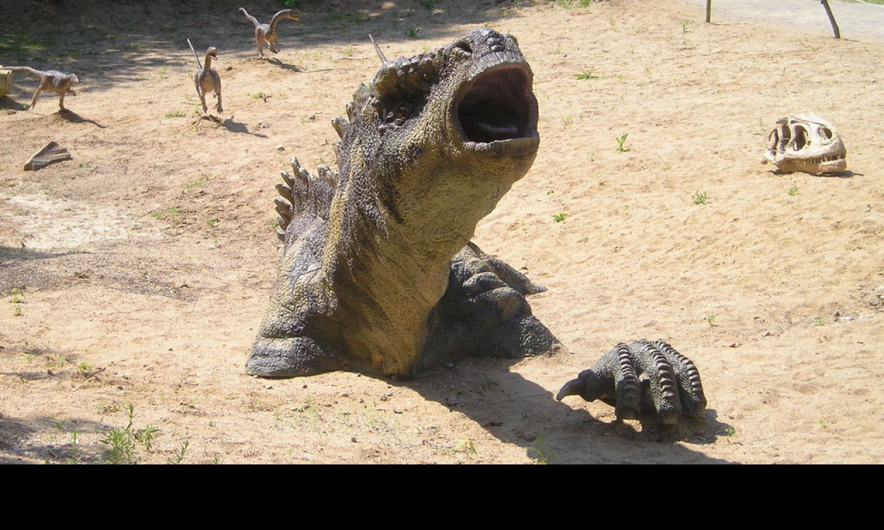 Tapeta apatosaurus_1
