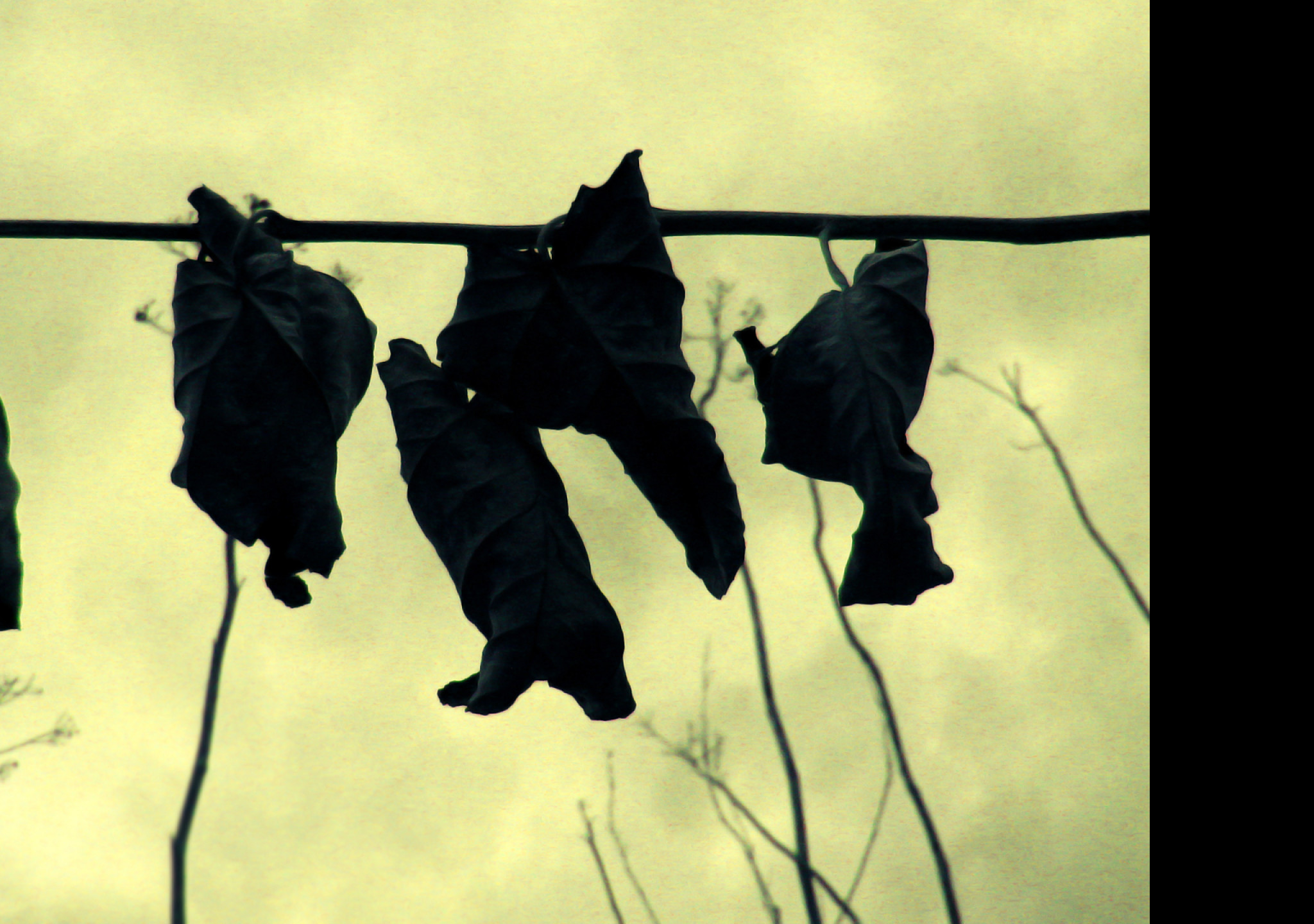 Tapeta autumn_paradise_no_4