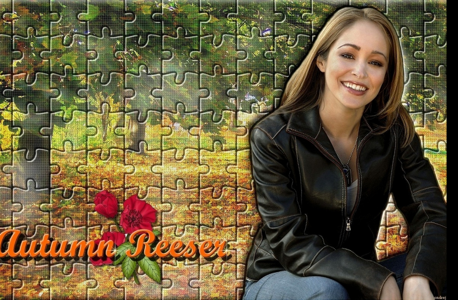 Tapeta autumn_reeser