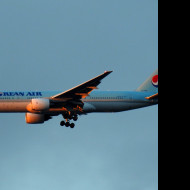 Tapeta b_777