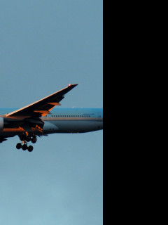Tapeta b_777