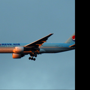 Tapeta b_777