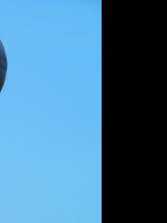 Tapeta balonpraha