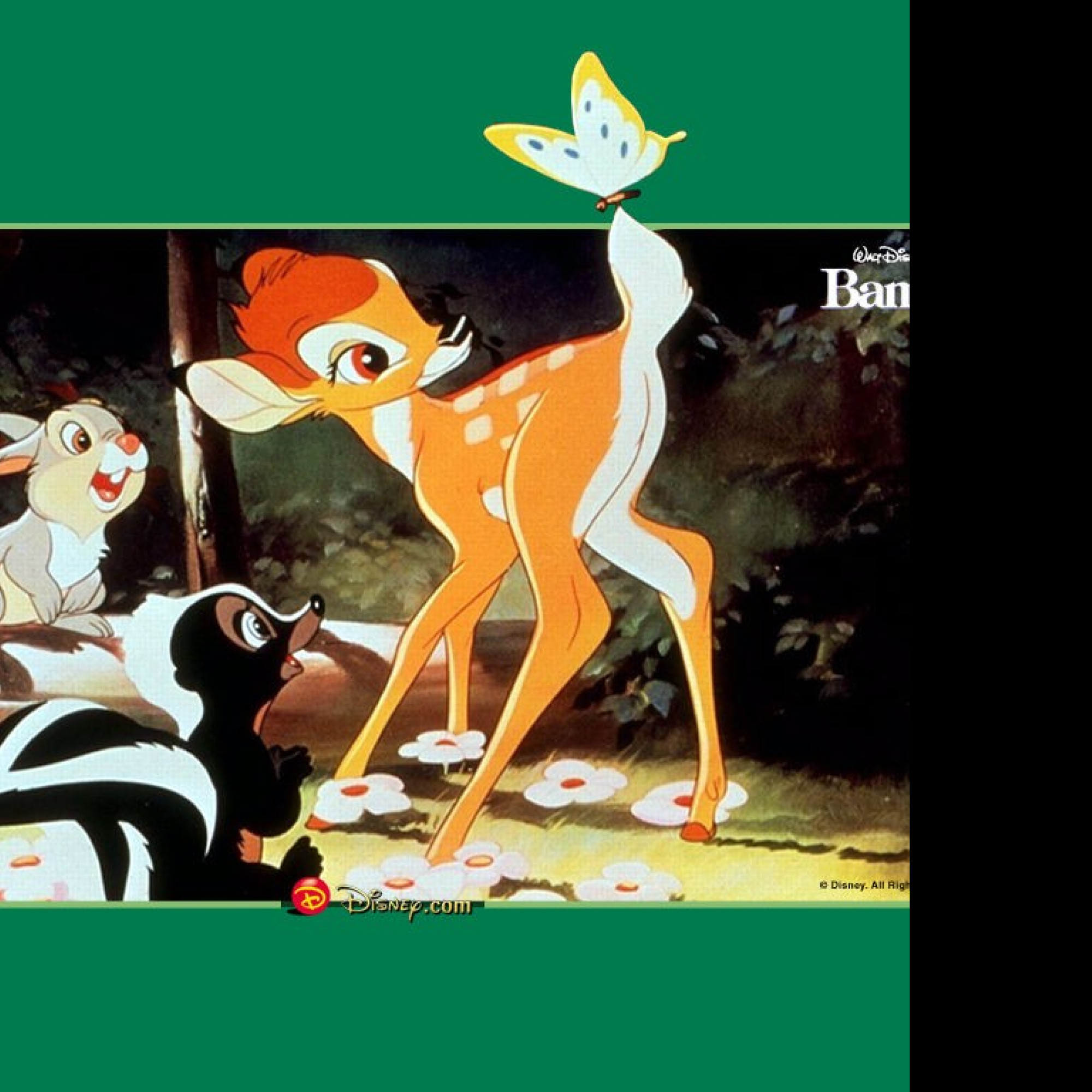 Tapeta bambi2