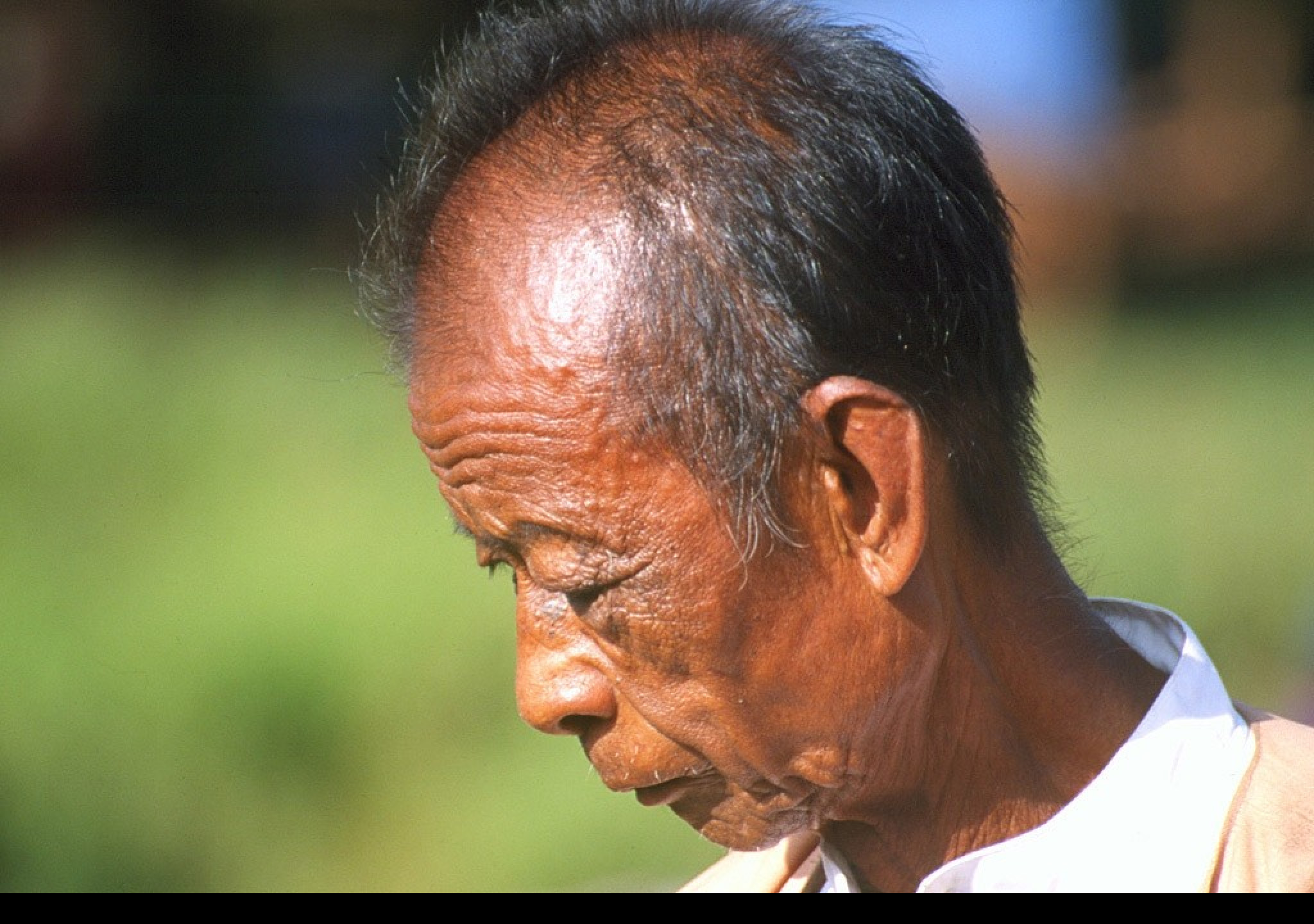 Tapeta barma1