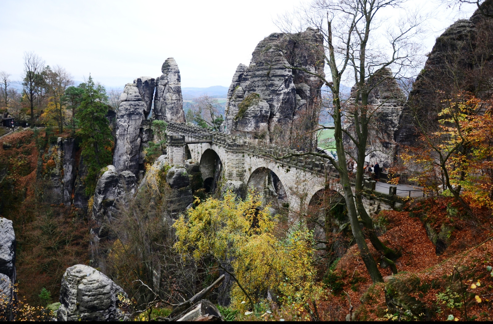 Tapeta bastei