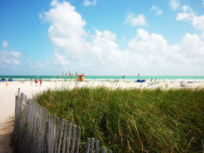 Tapeta: Beach