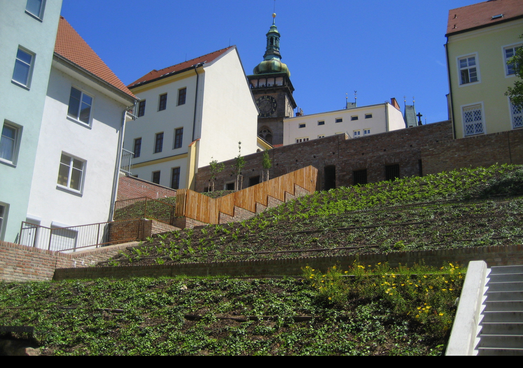Tapeta bila_vez_hradec_kralove