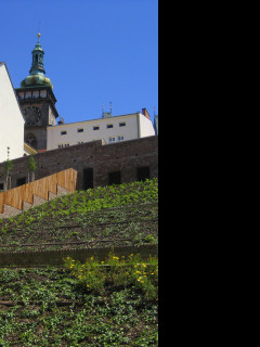 Tapeta bila_vez_hradec_kralove
