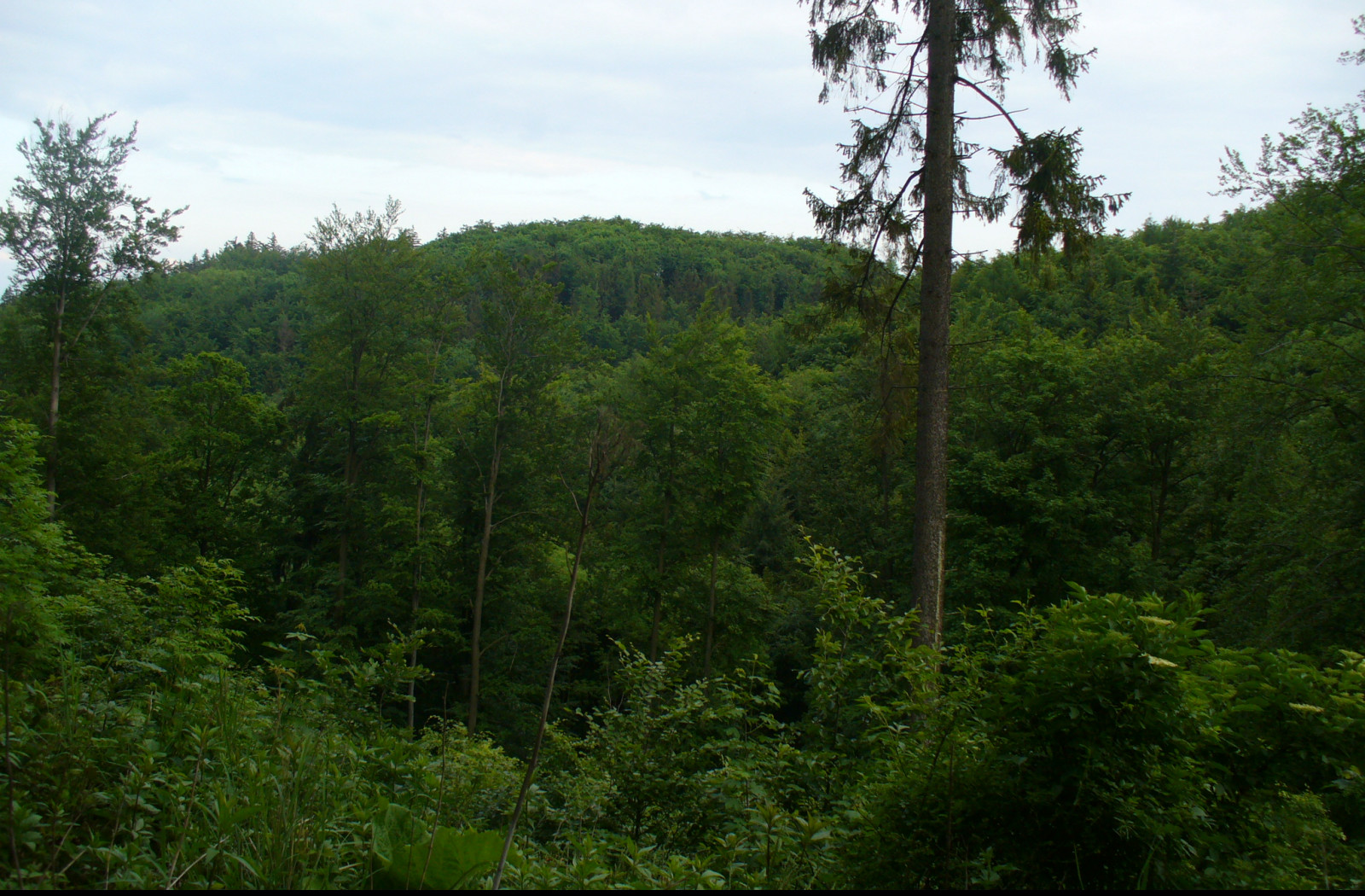 Tapeta bilovecka_krajina