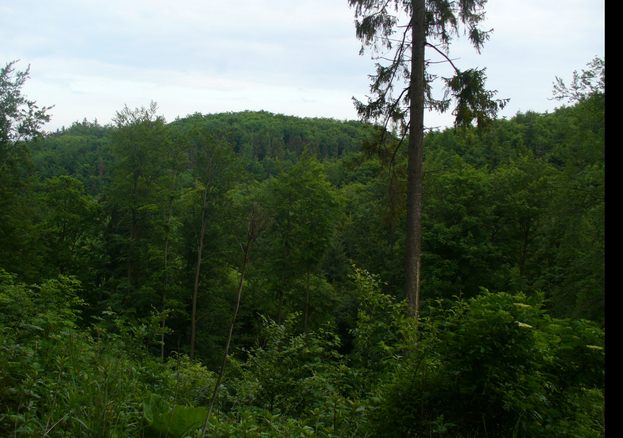 Tapeta bilovecka_krajina
