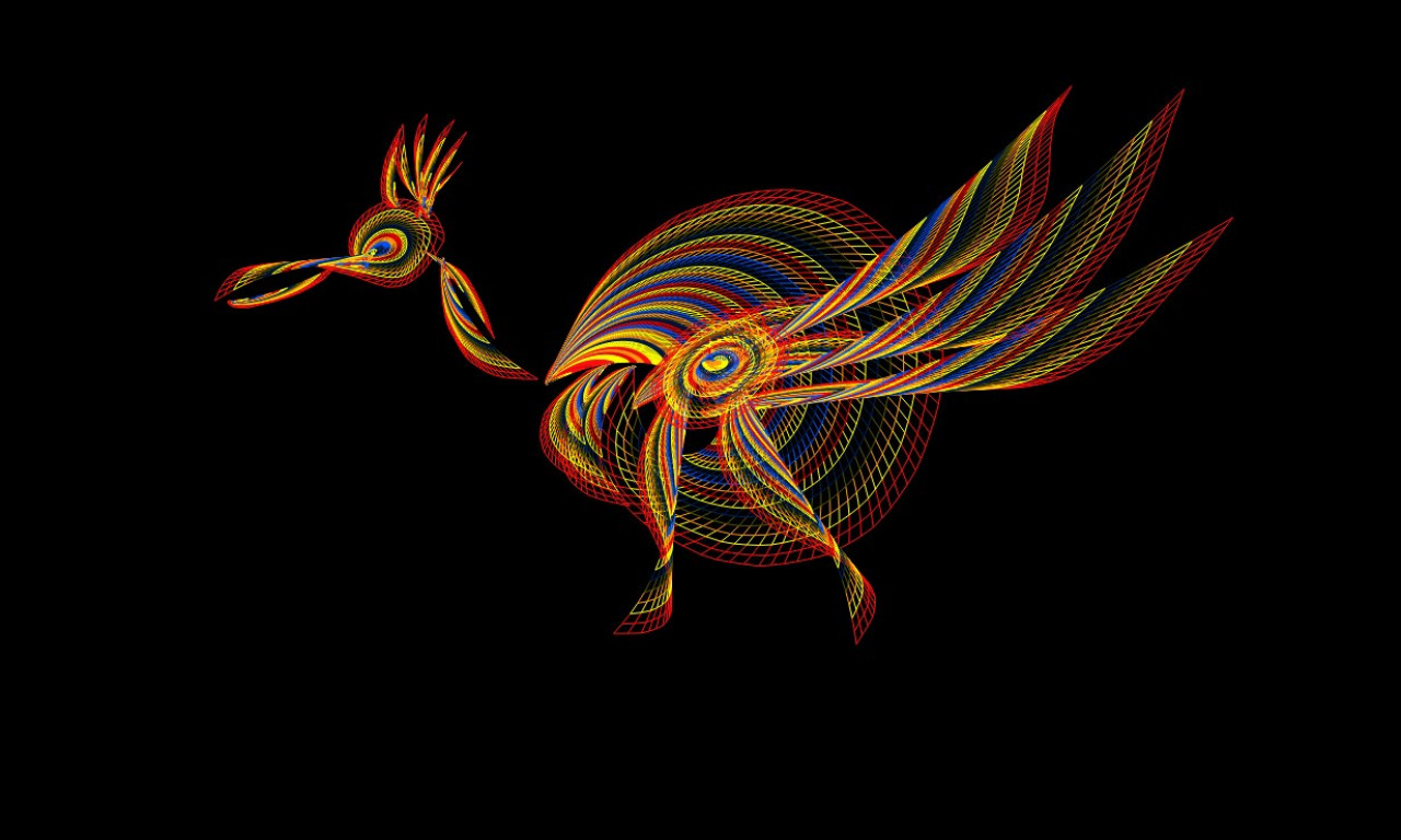 Tapeta bird
