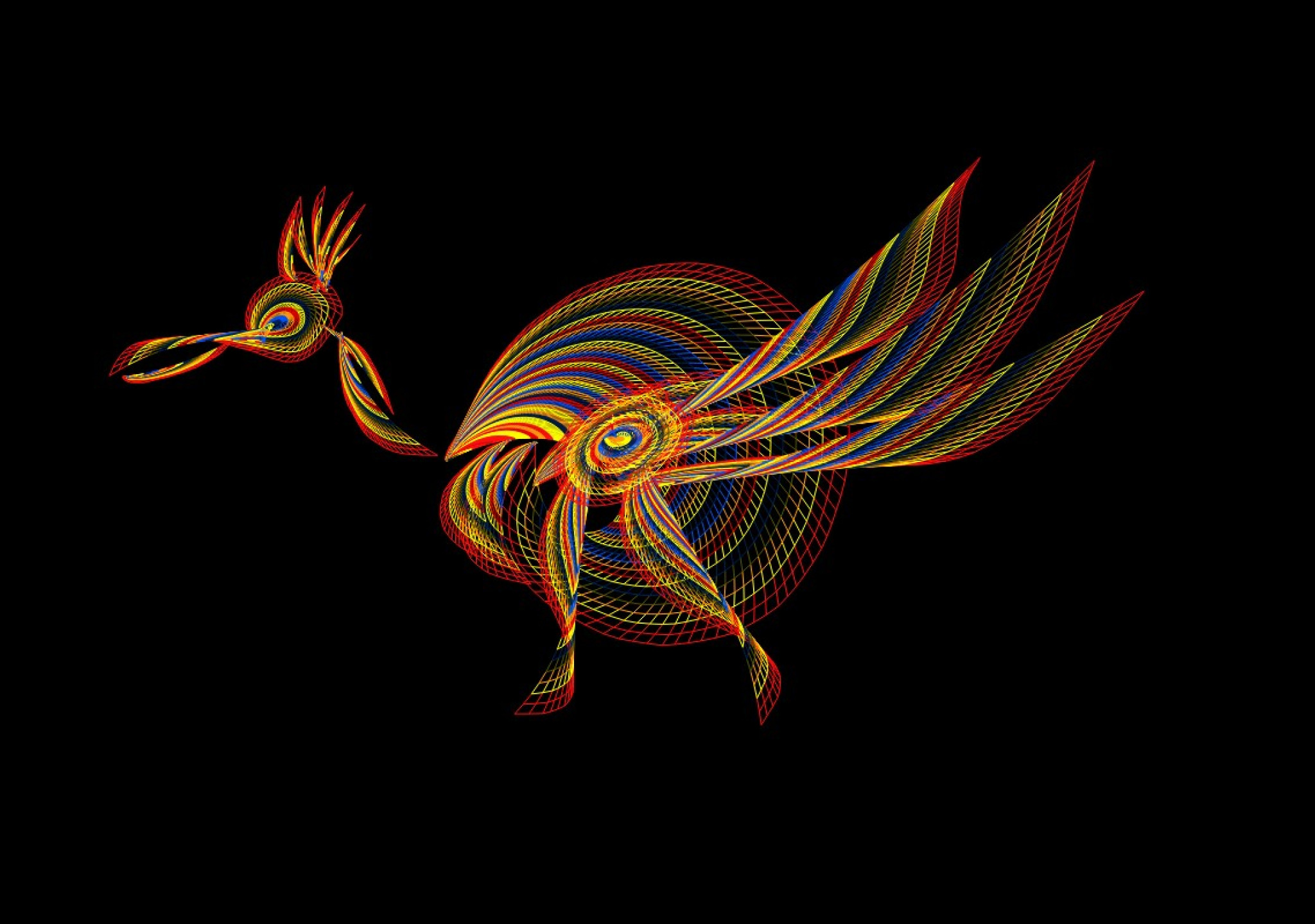 Tapeta bird