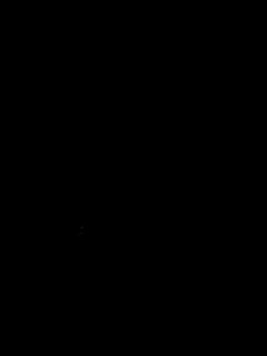 Tapeta black_panter