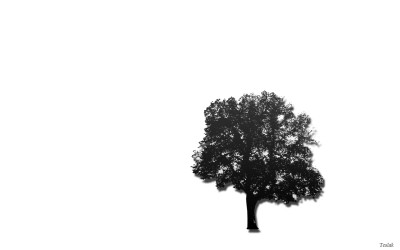 Tapeta: Black tree