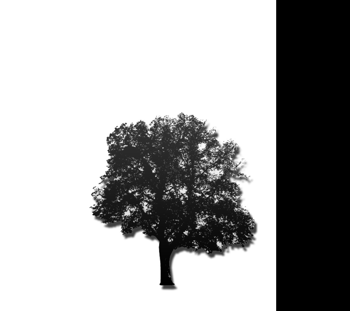 Tapeta black_tree