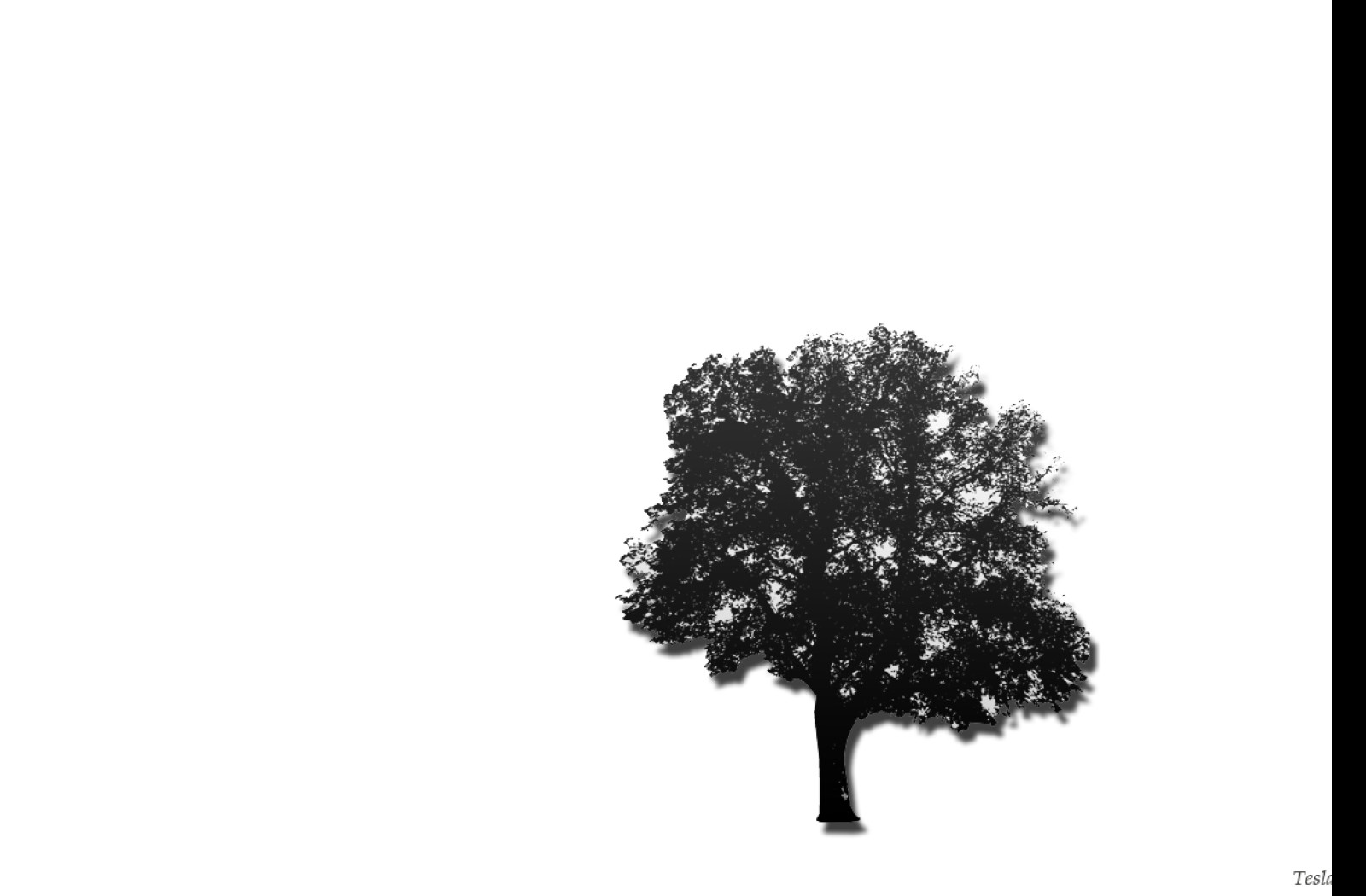 Tapeta black_tree