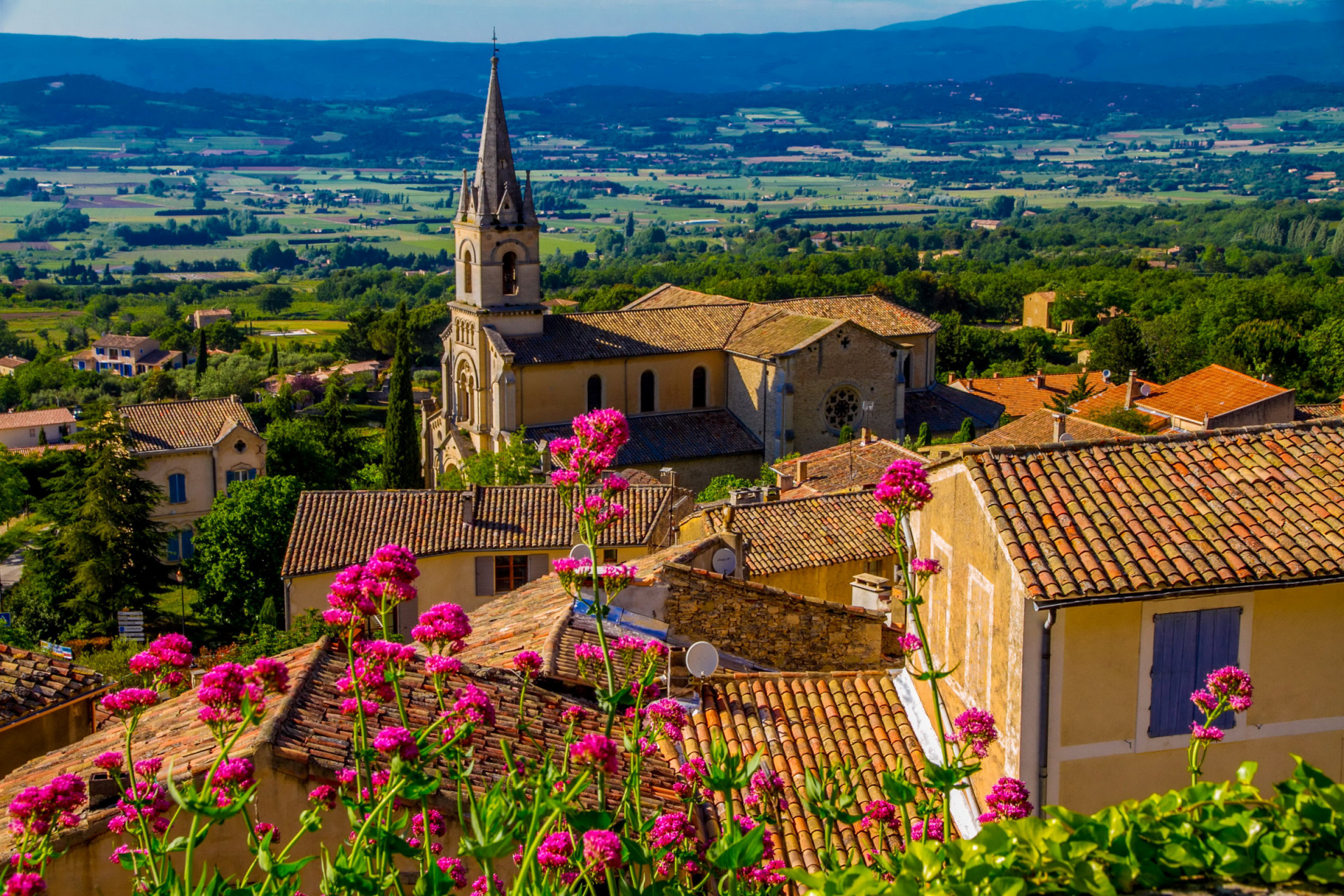 Tapeta bonnieux