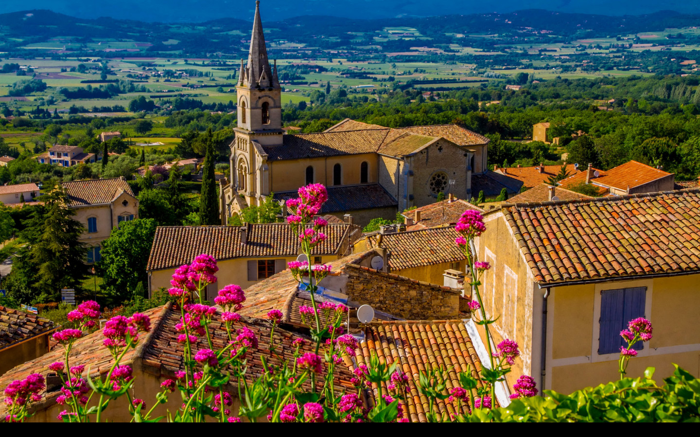 Tapeta bonnieux