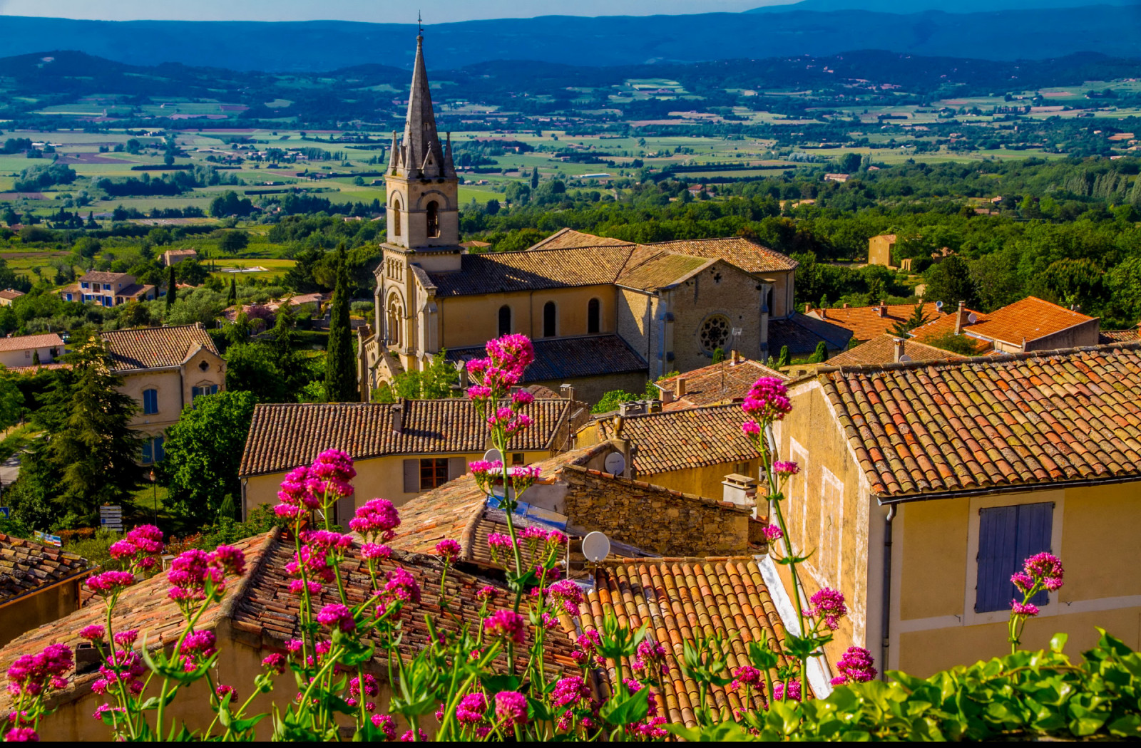 Tapeta bonnieux