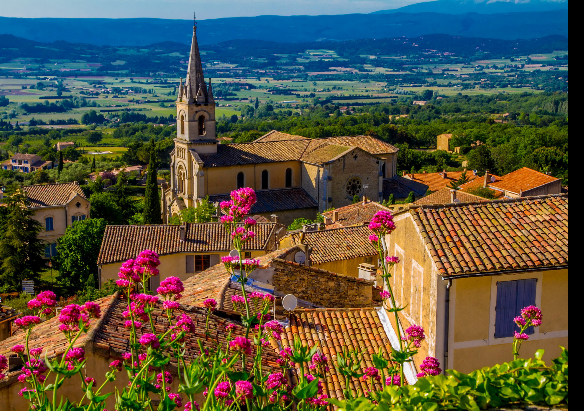 Tapeta bonnieux