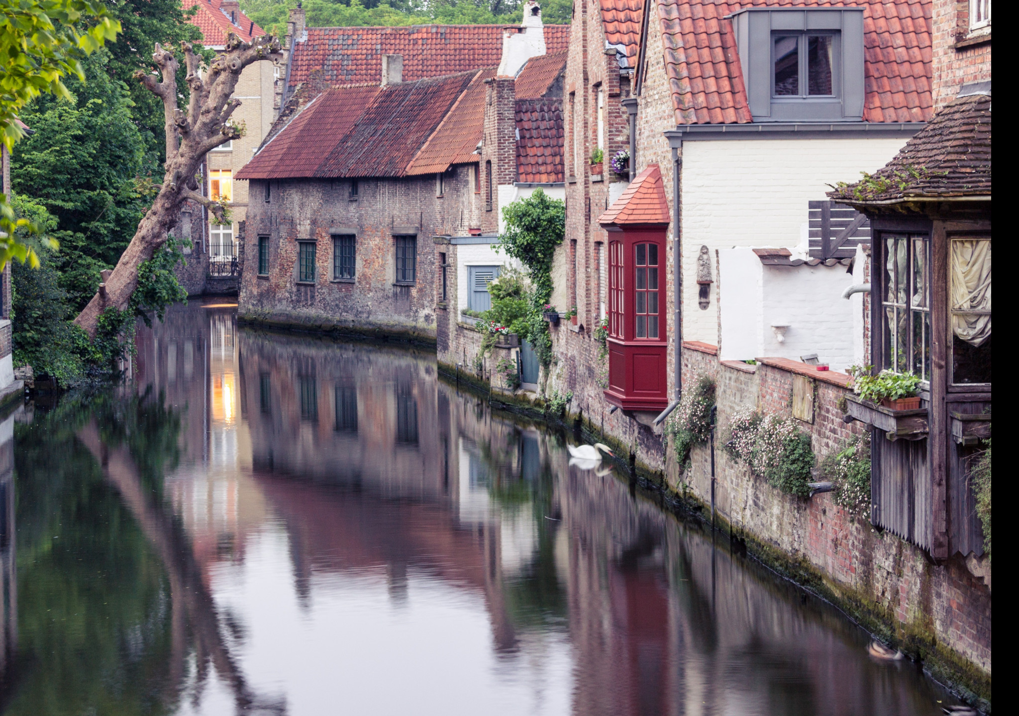 Tapeta bruggy_2