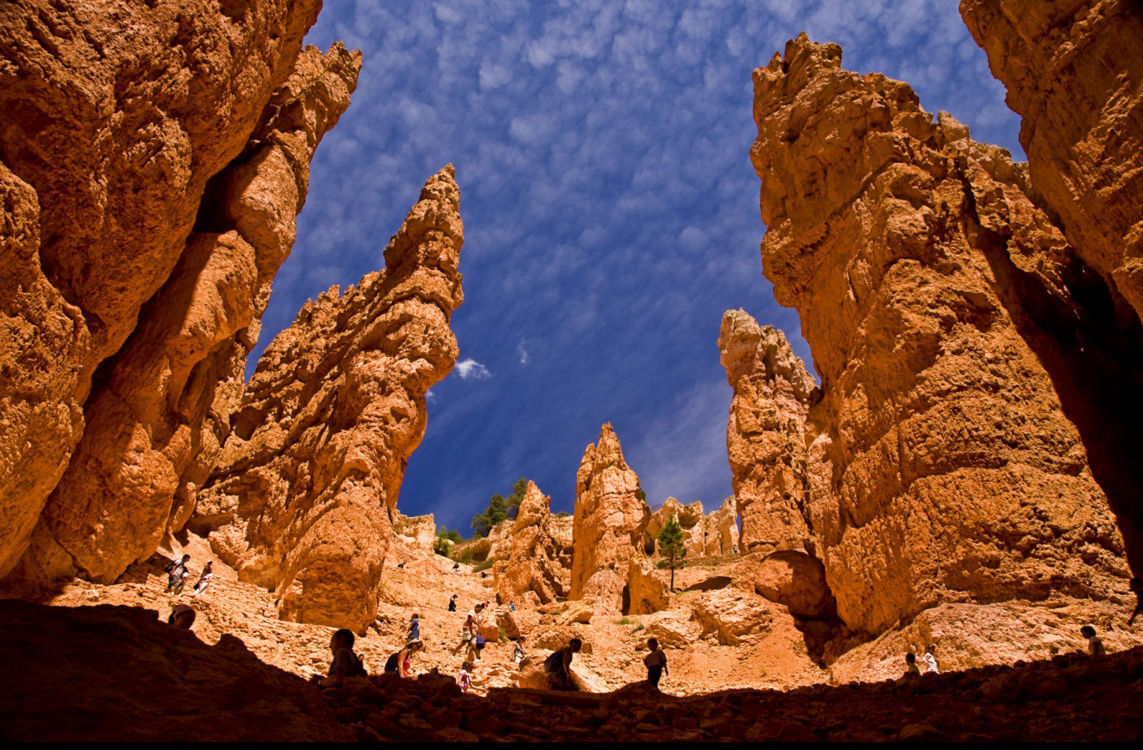 Tapeta bryce_canyon