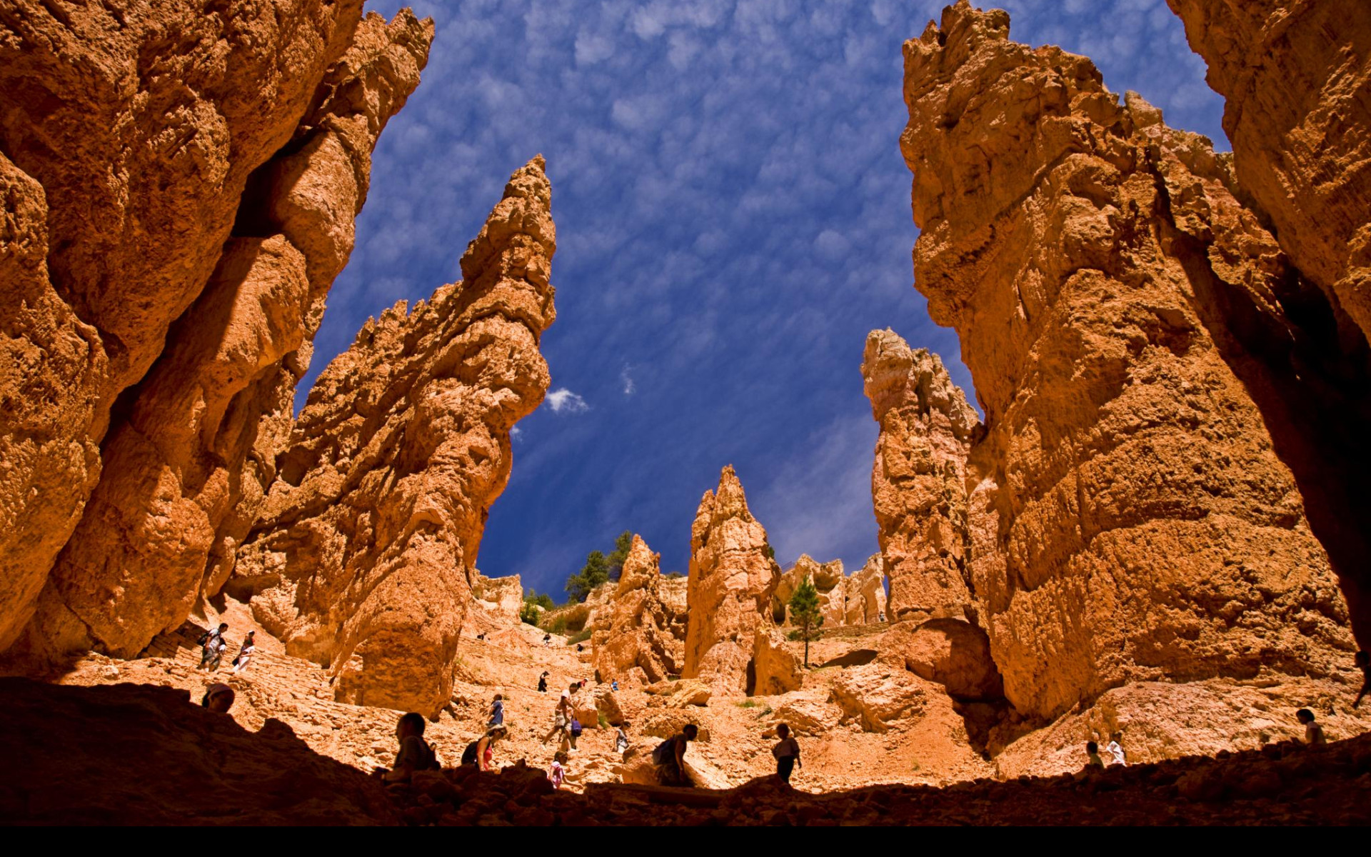 Tapeta bryce_canyon