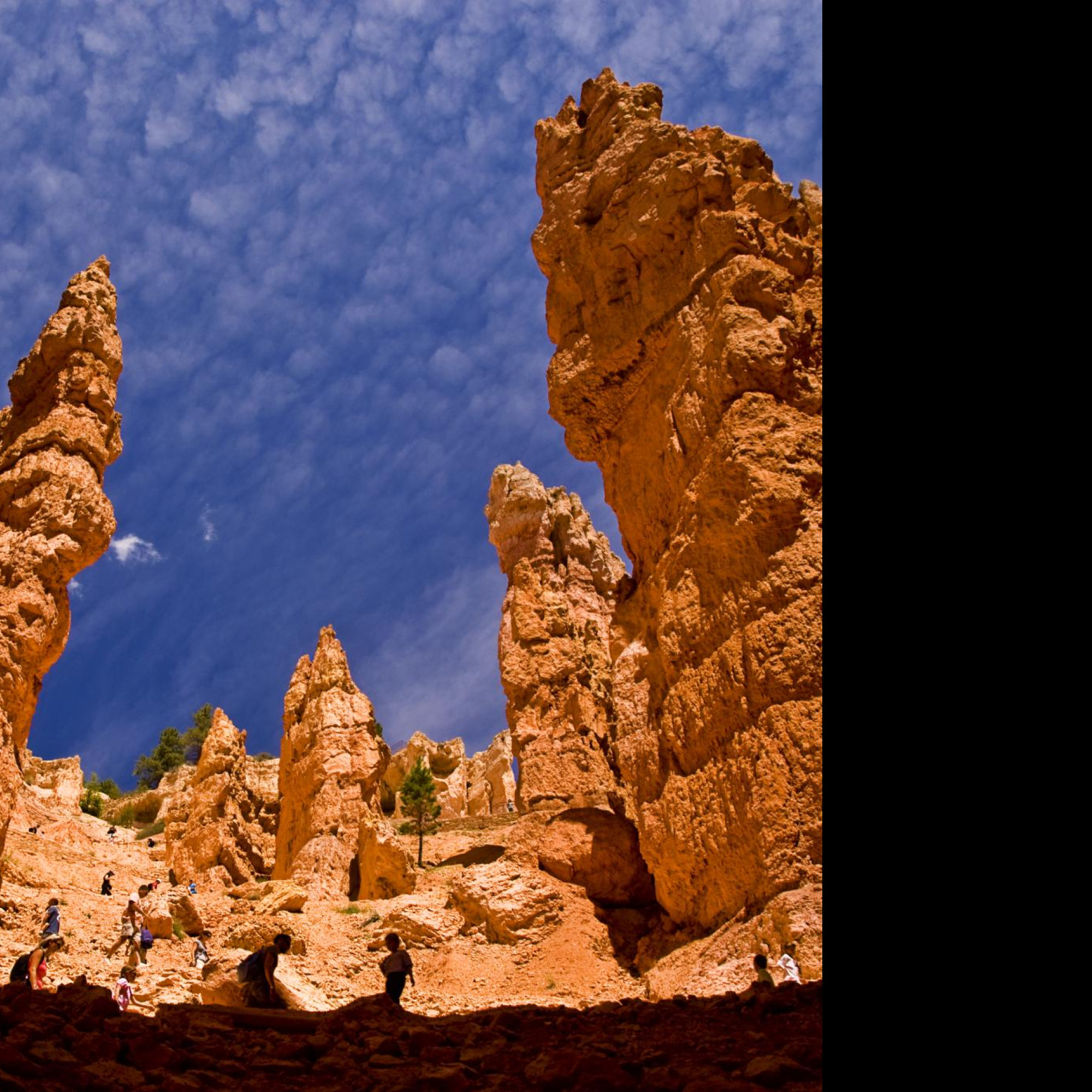 Tapeta bryce_canyon