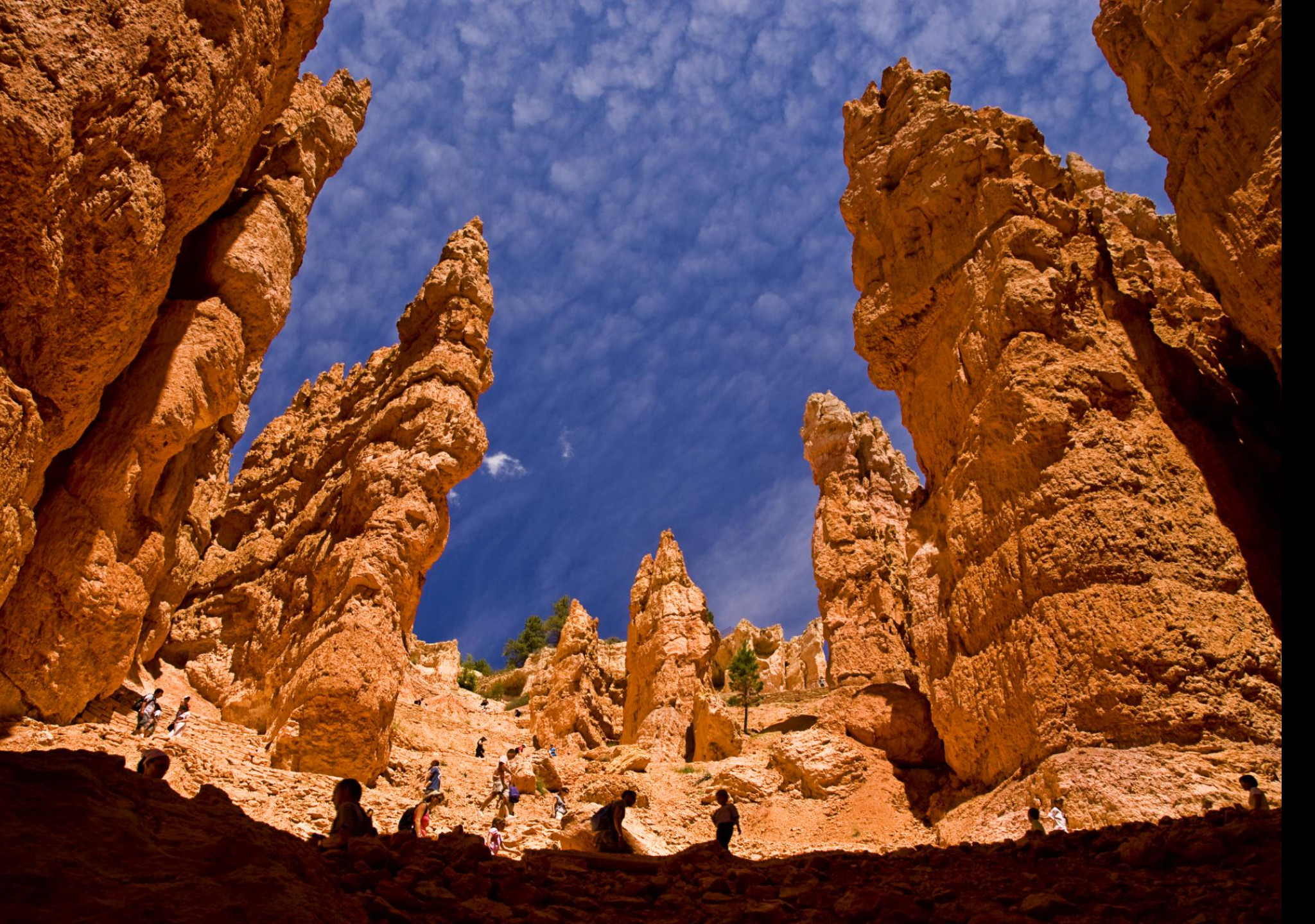 Tapeta bryce_canyon