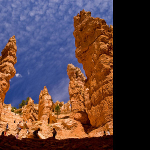 Tapeta bryce_canyon