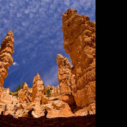 Tapeta bryce_canyon