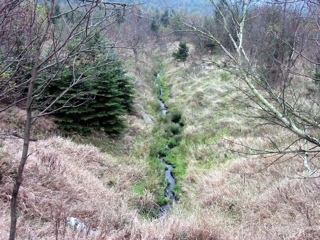 Tapeta bystrina